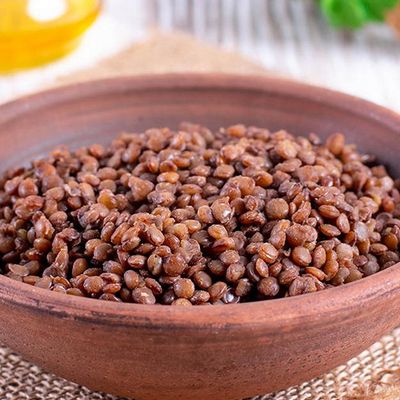 Lentil