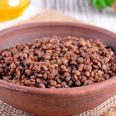 Lentil