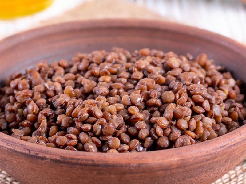 Lentil
