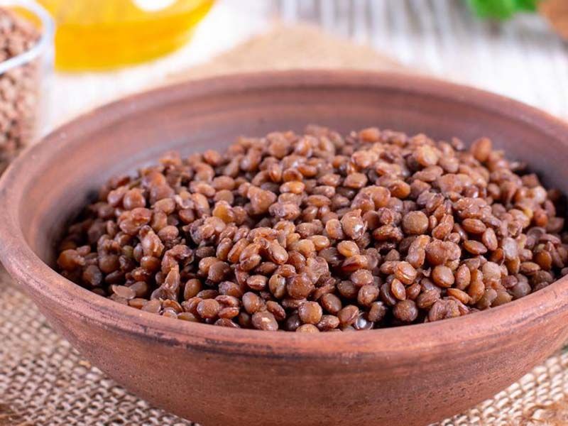 Lentil