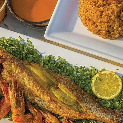 Mullet Fish And Shrimp Offer