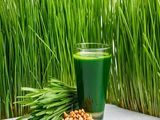 Wheatgrass
