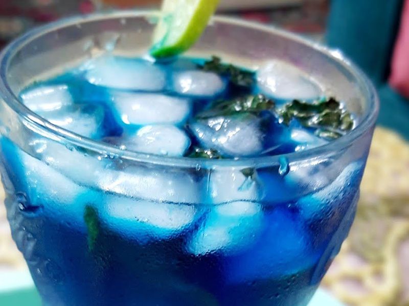 Blueberry Smoothie