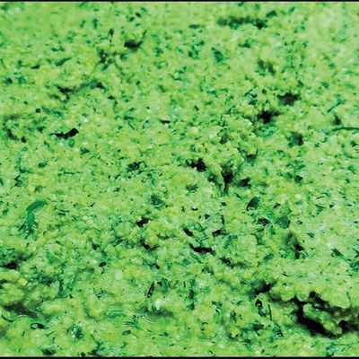 Falafel Dough Box large