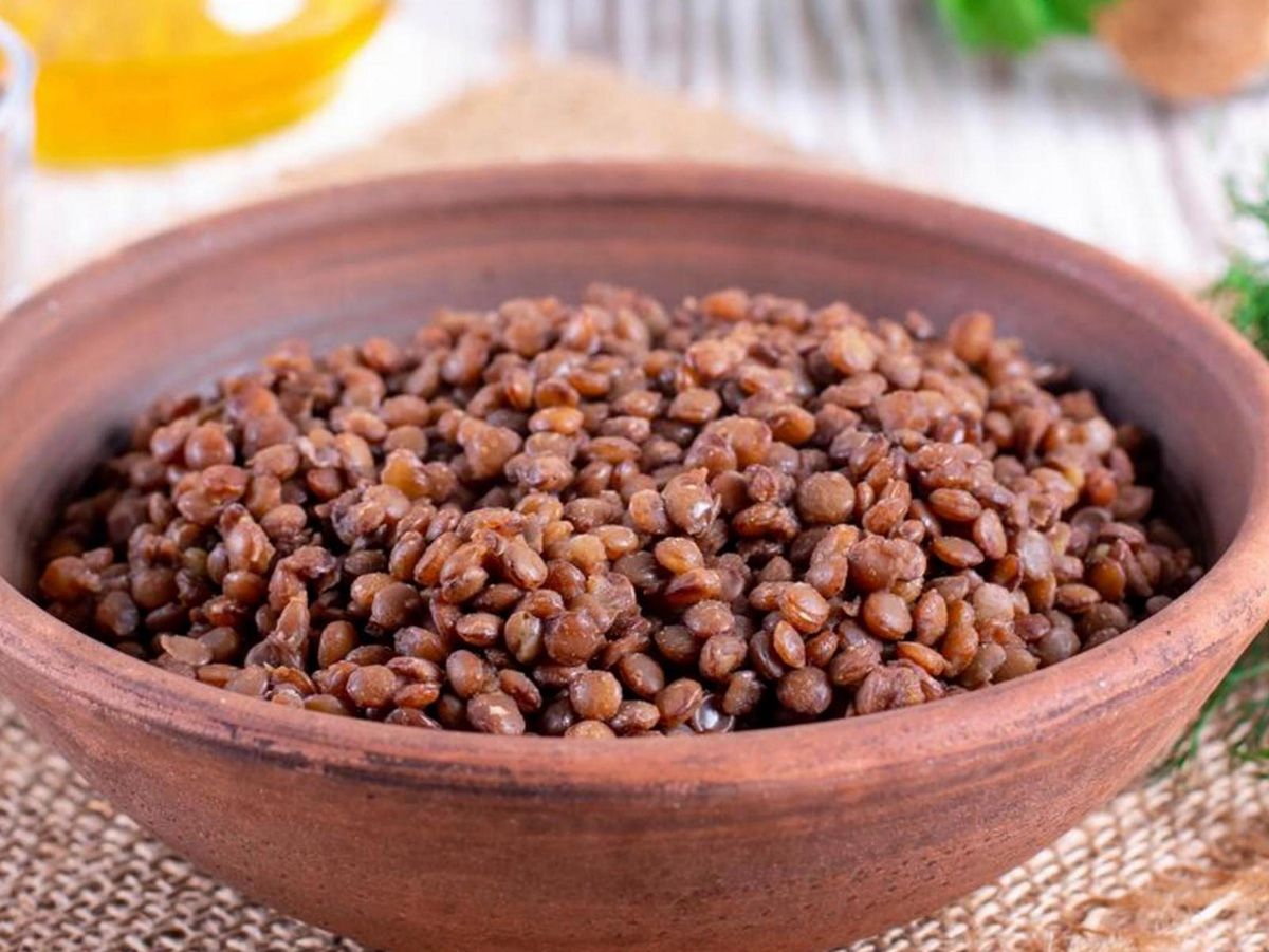 Lentil