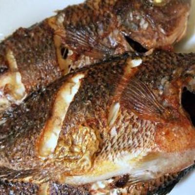 Tilapia Fish