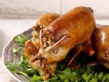 Stuffed Pigeon 1 Piece