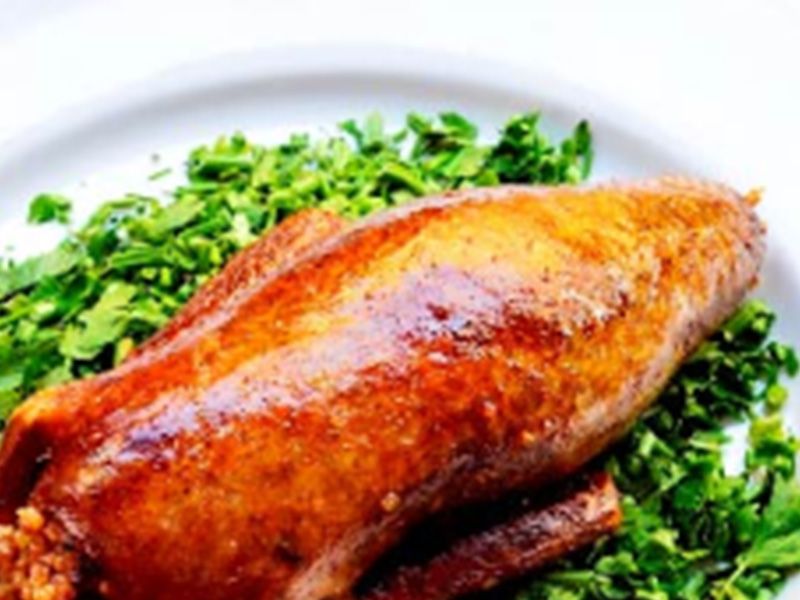 stuffed pigeon dish