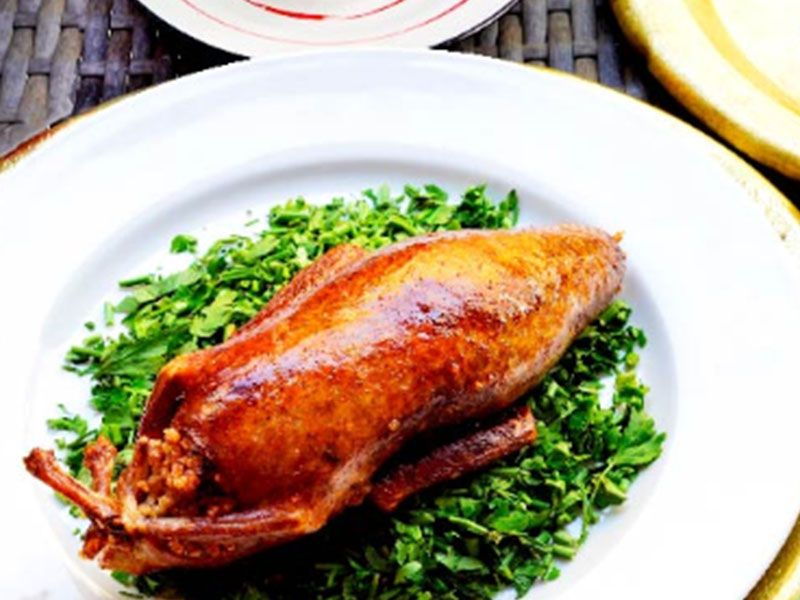 piece of grilled Pigeon