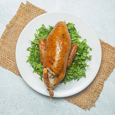 حمامة واحدة مع جريش
