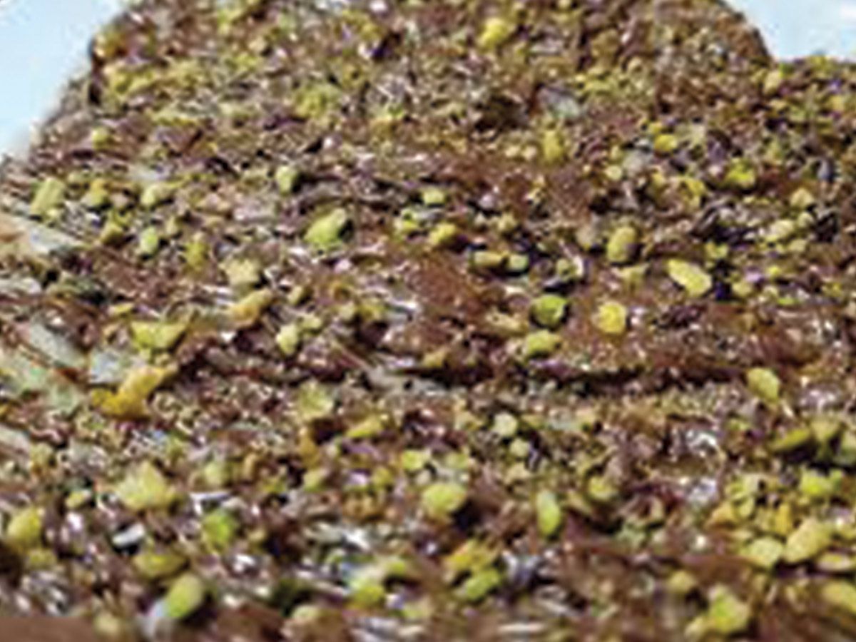 Nutella Pie With Nuts