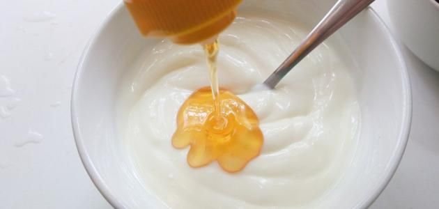 Honey Yogurt