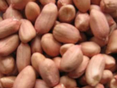 Halwani Peanut