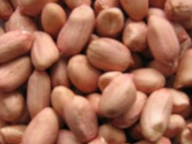 Halwani Peanut