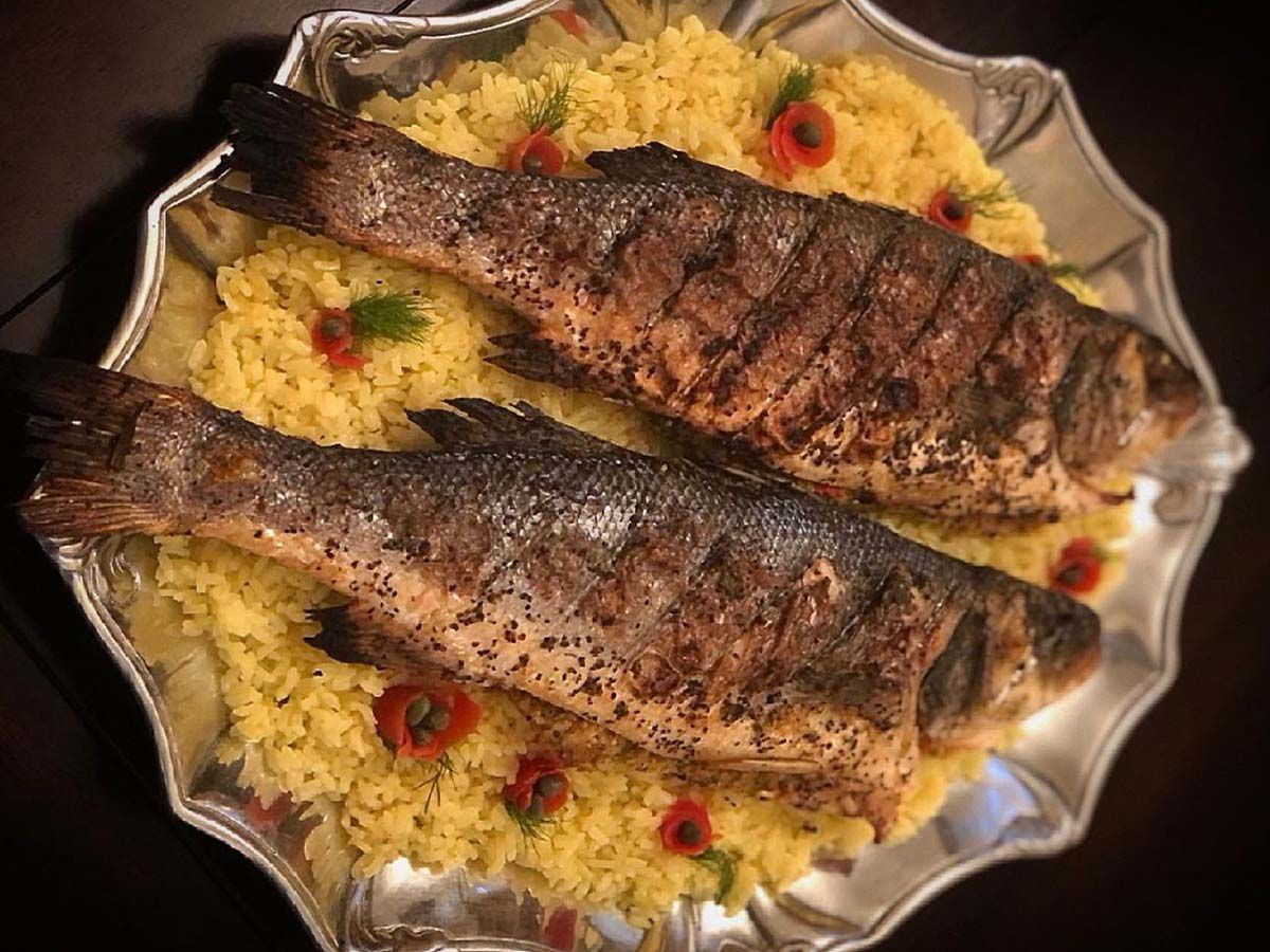 Sea Bass fish