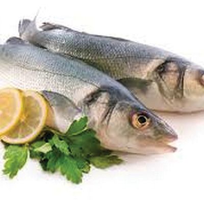 Sea Bass
