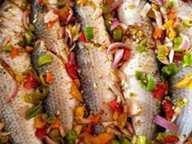Singary Sea Bass Fish