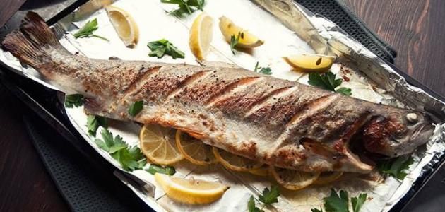 Sea Bass Fish Tray