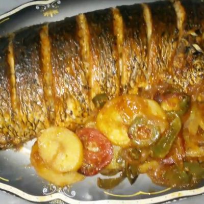 Sea Bass Fish