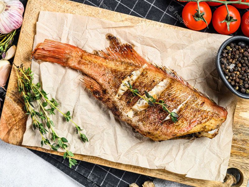 Sea Bass Fish