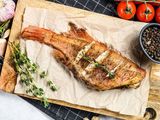 Sea Bass Fish