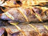 Sea Bass Fish