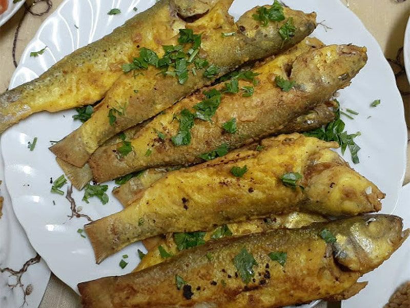 Sea Bass Fish