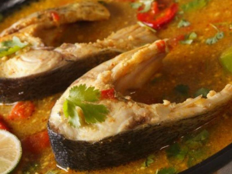 Grilled Zander Fish Fillet