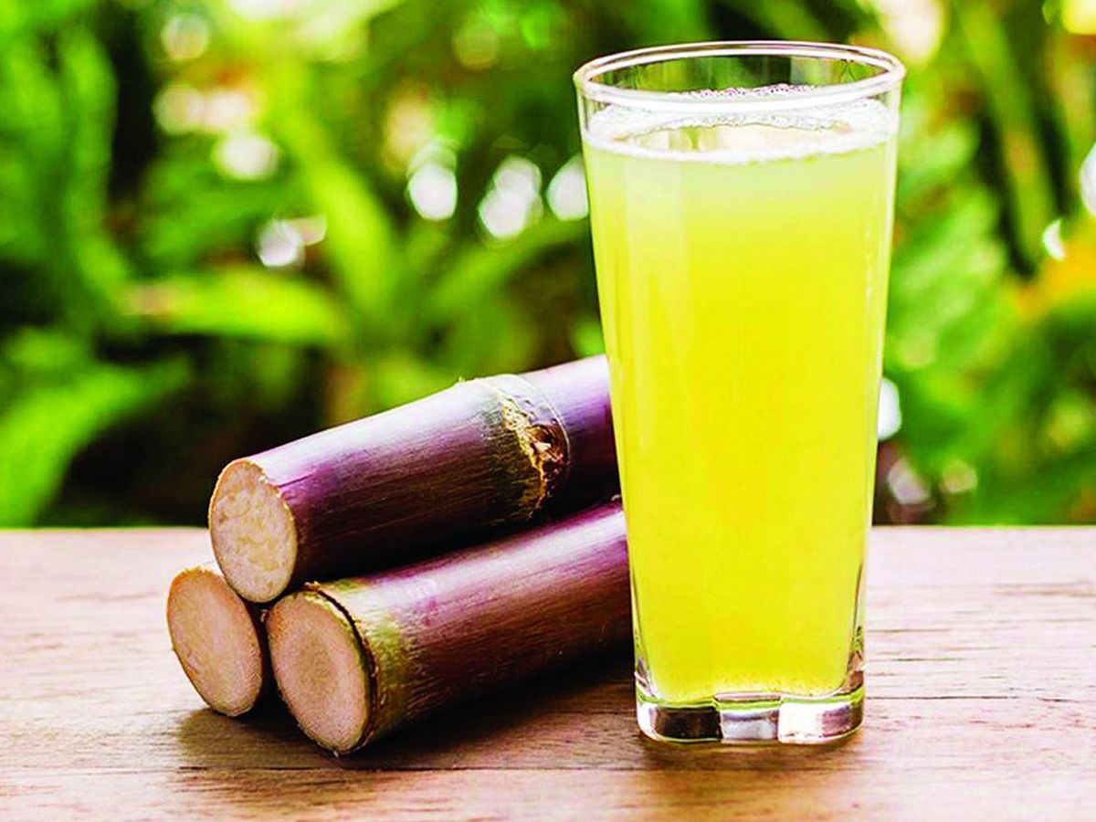 Sugar Cane ORIENTAL