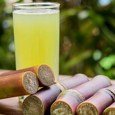 Sugarcane with halawa