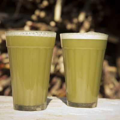 Sugarcane