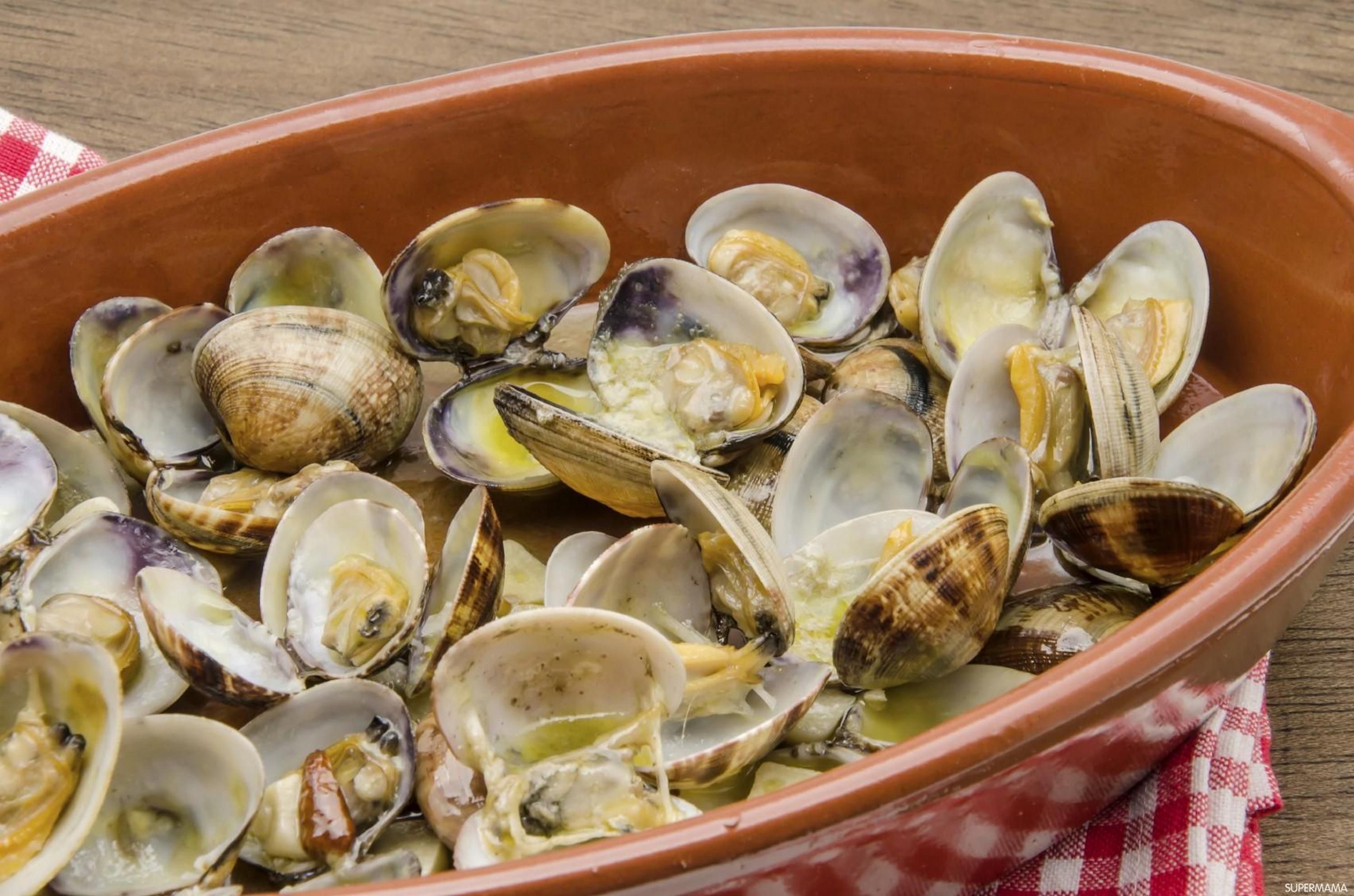 Clams