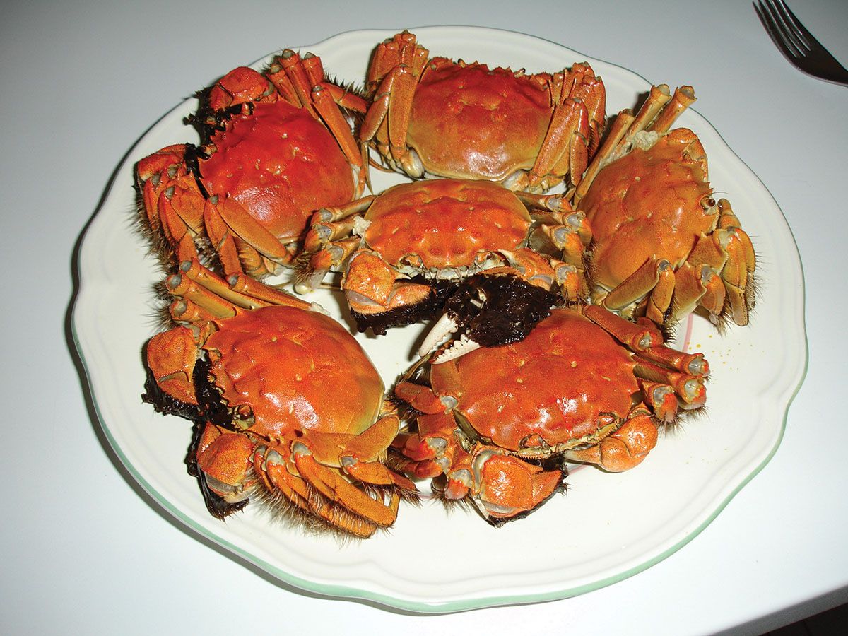 Female Crab mixture