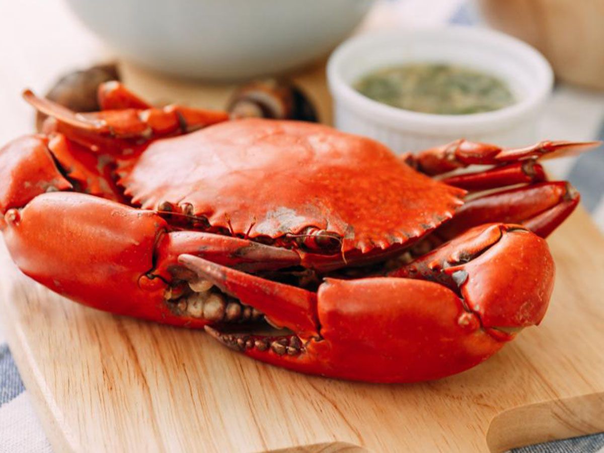 Crabs Cornedmliky