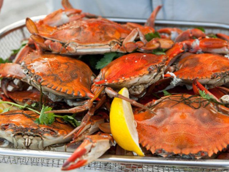 Suez Crabs