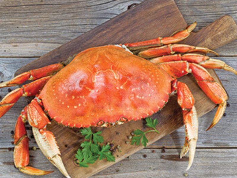 Crab Netty