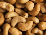cashew