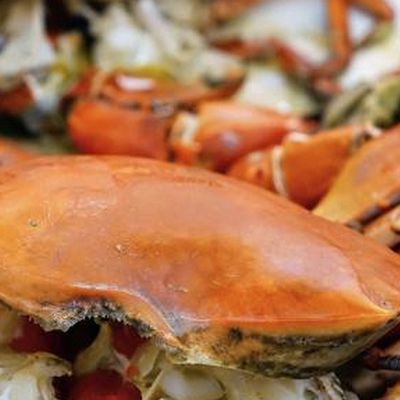 Crab Philly