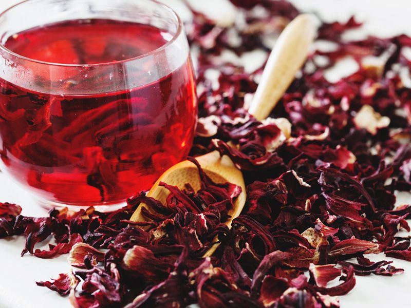 Hibiscus