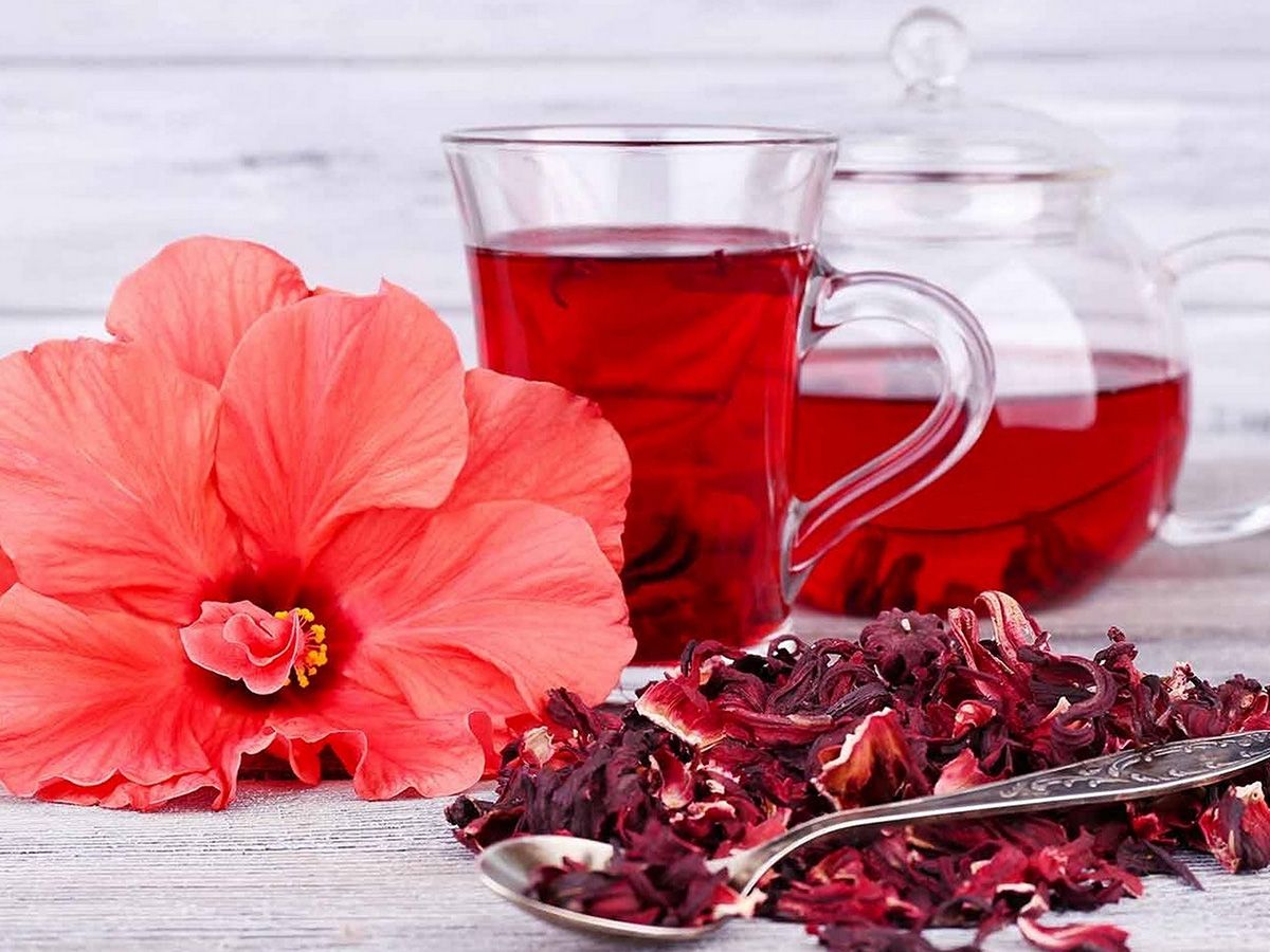 Hibiscus