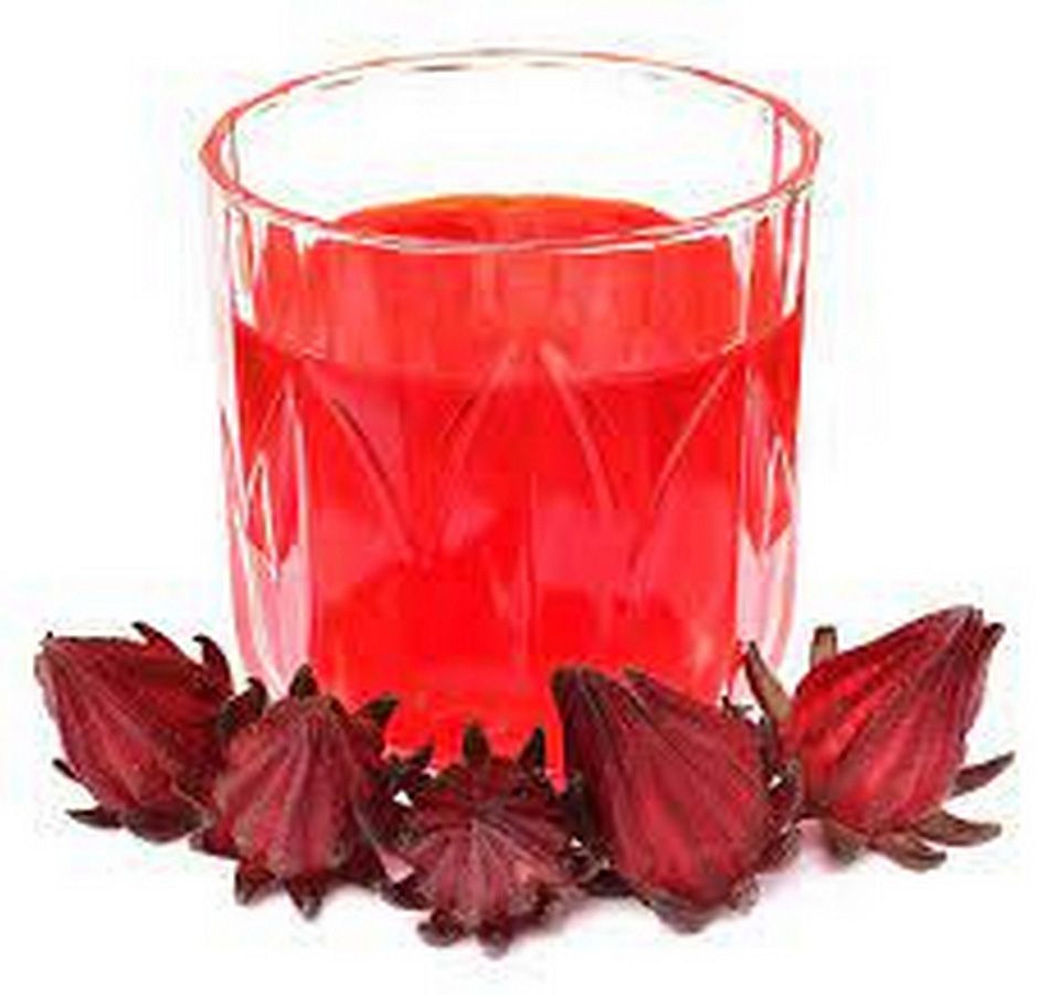 Hibiscus
