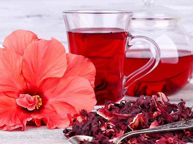 Hibiscus