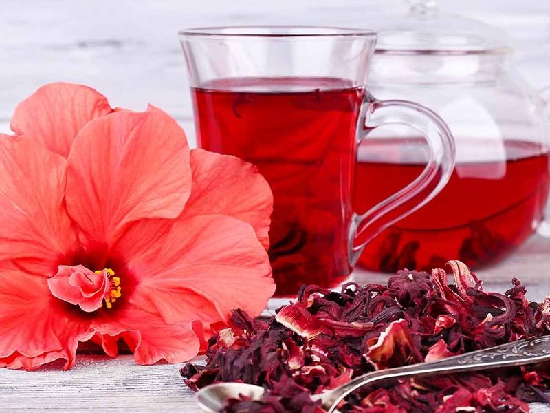 Hibiscus