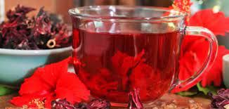 Hibiscus