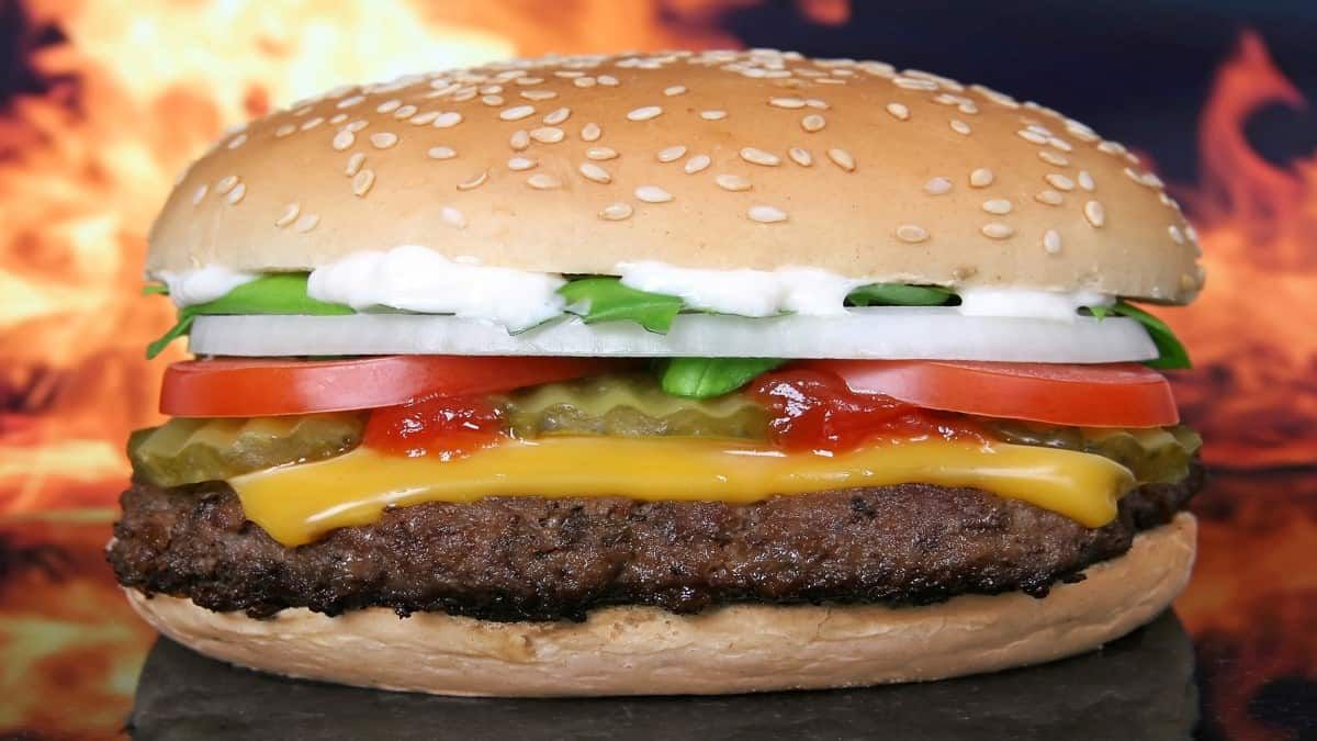 Classic Burger Sandwich