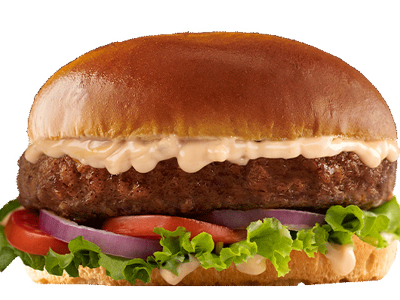 classic burger sandwich