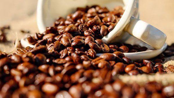 Tawlifa Plain Turkish Coffee