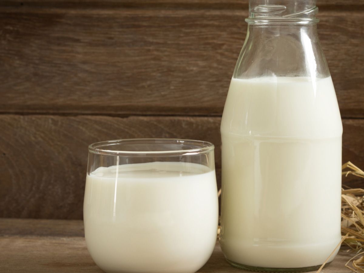 buffalo full fat milk 1 kilo