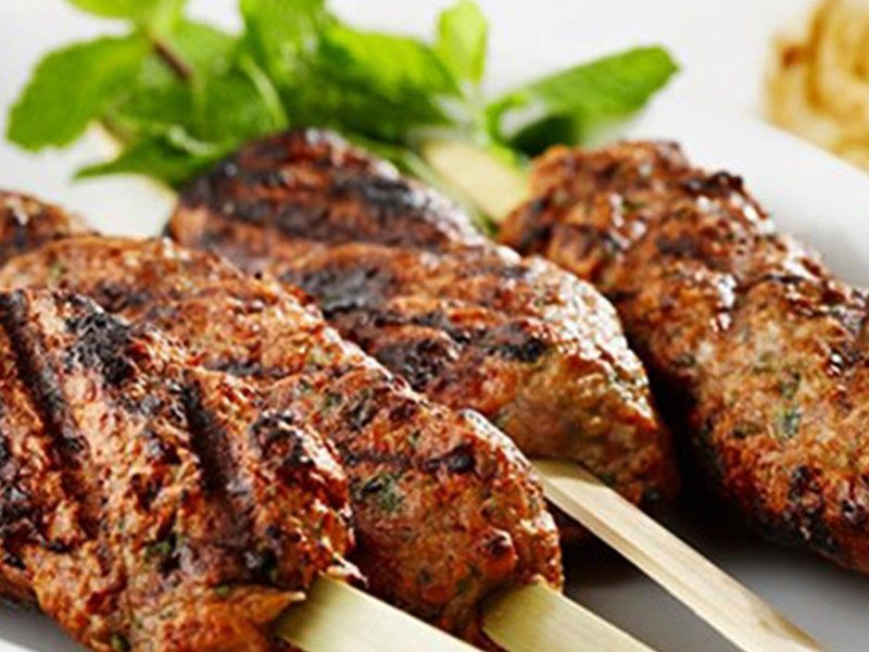 Oven Baked Grilled Meat