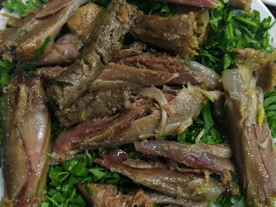 Kilo Nefa
